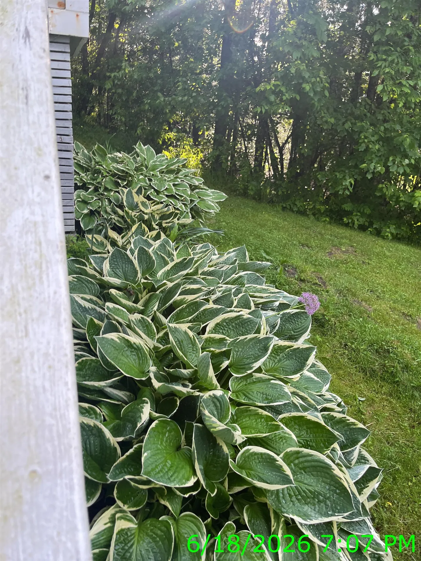 142 Folsom Hill Road Marshfield VT 05658