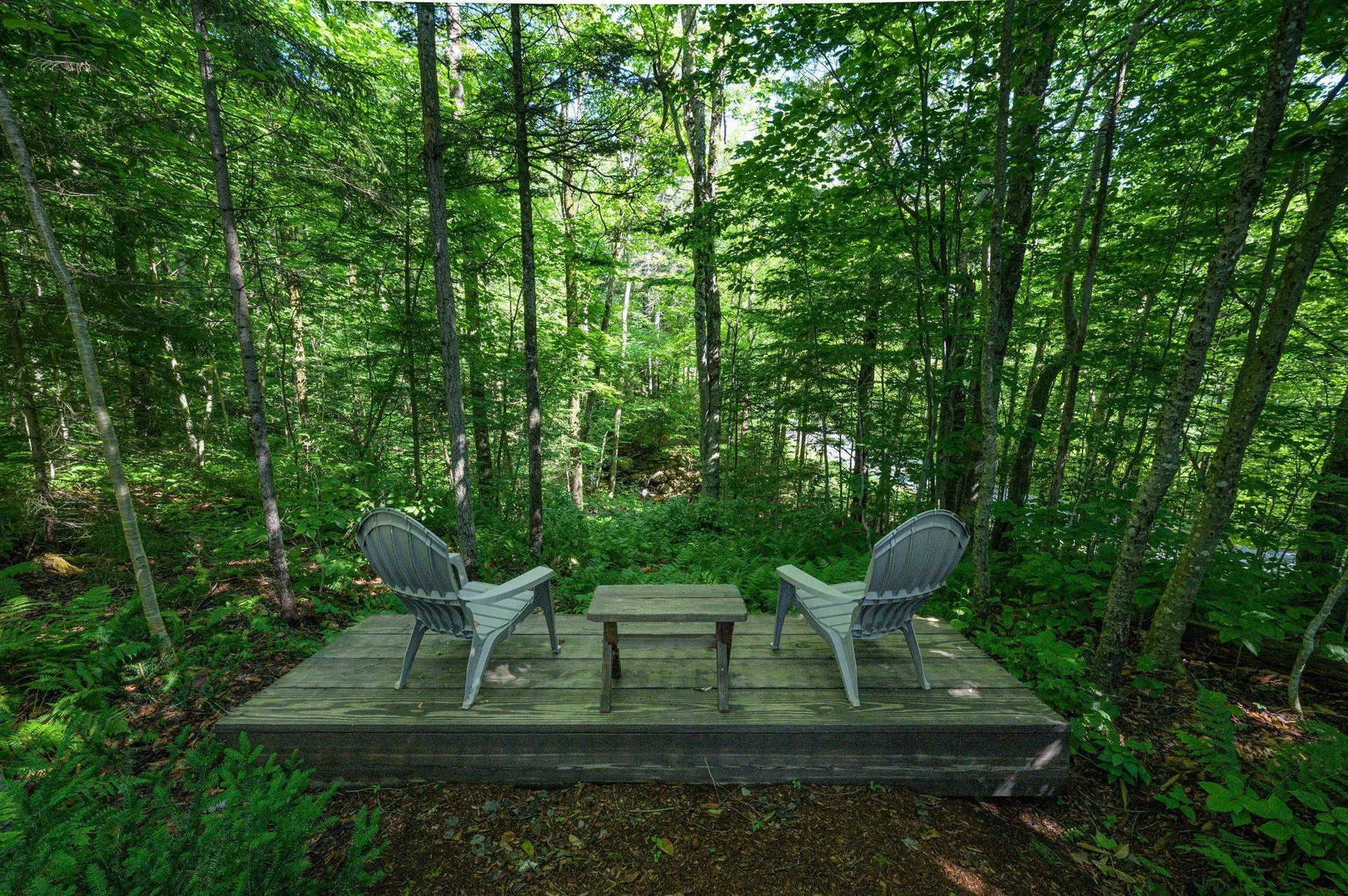 66 Somerset Road Searsburg VT 05363