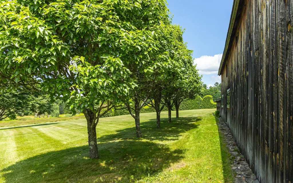 867 Forest Road Alstead NH 03602