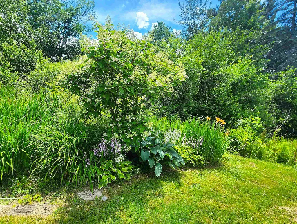 3407 Windham Hill Road Windham VT 05359