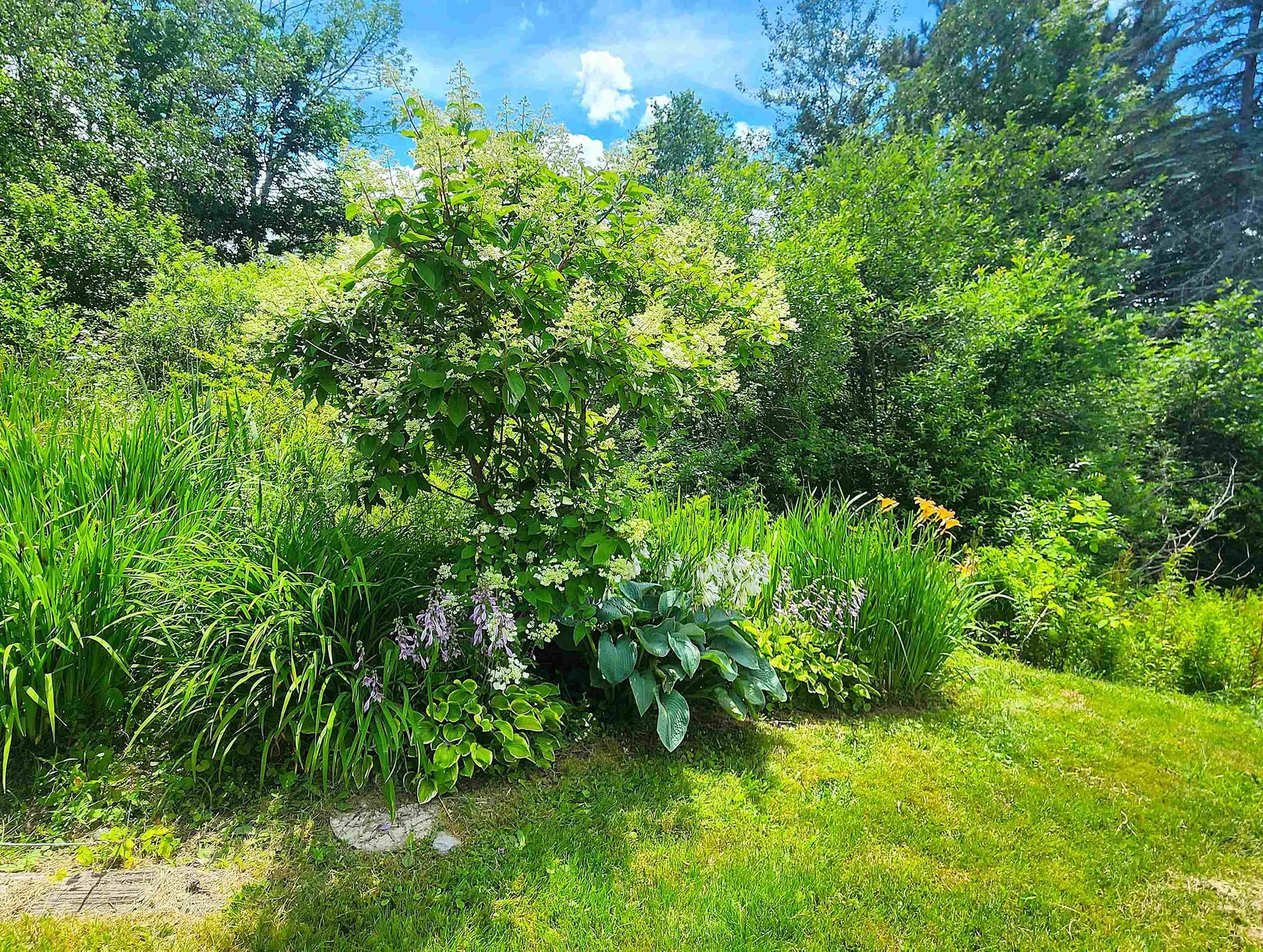 3407 Windham Hill Road Windham VT 05359