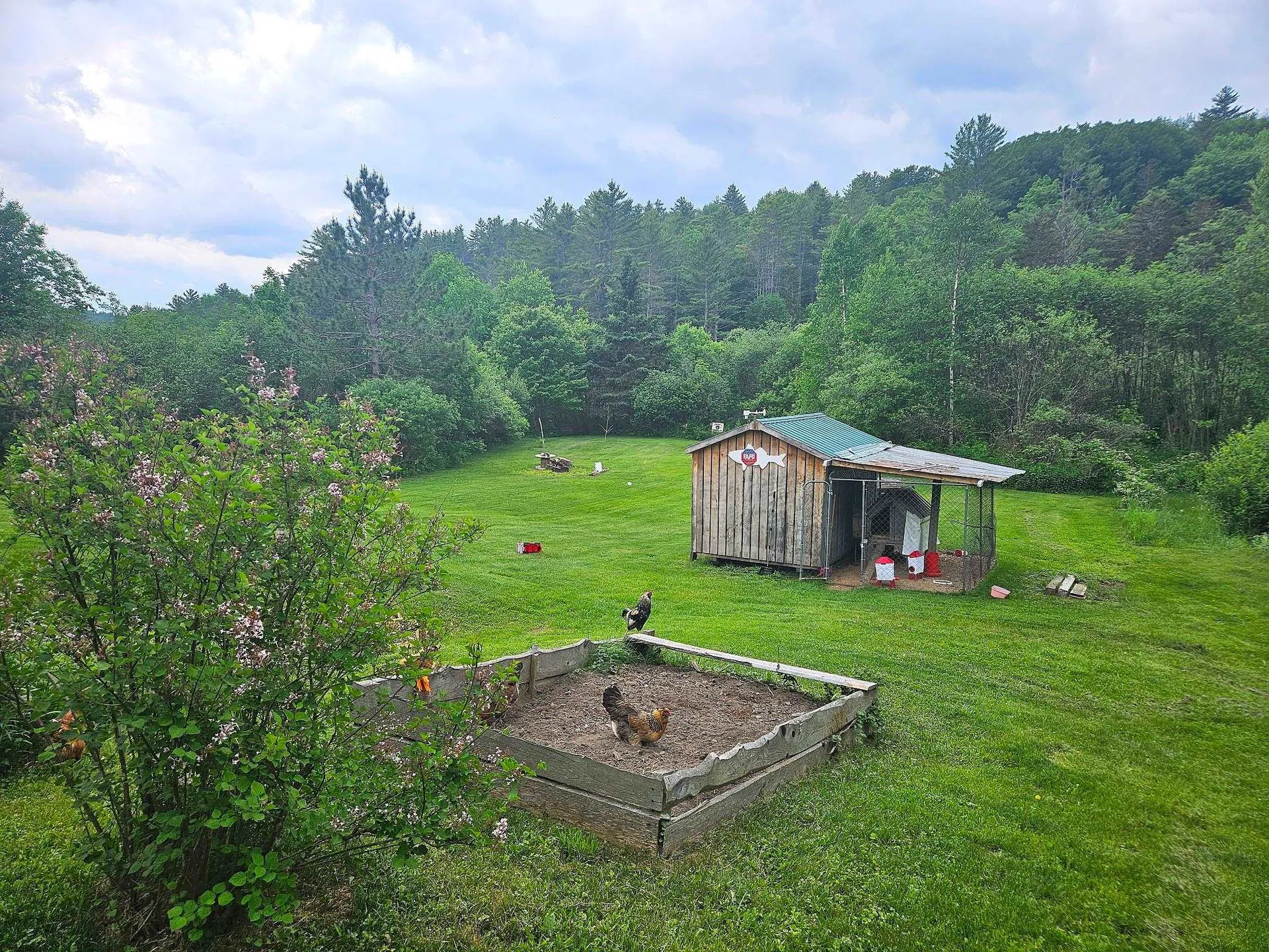 3407 Windham Hill Road Windham VT 05359