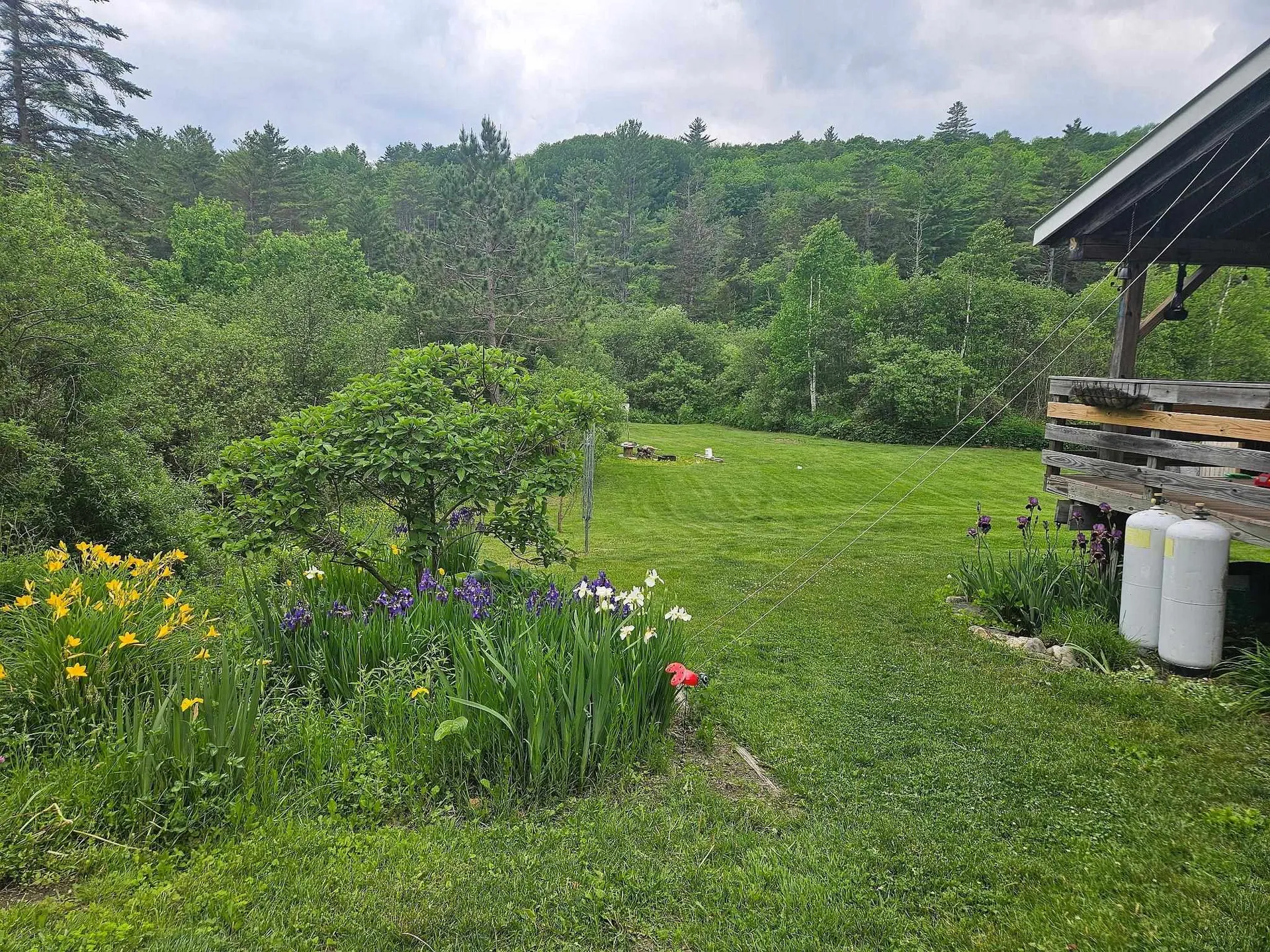 3407 Windham Hill Road Windham VT 05359