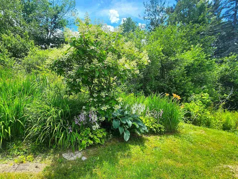 3407 Windham Hill Road Windham VT 05359