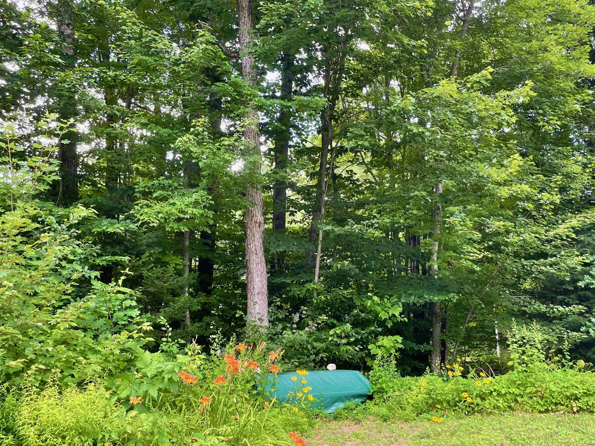 71 Fox Hill Lane Conway NH 03813