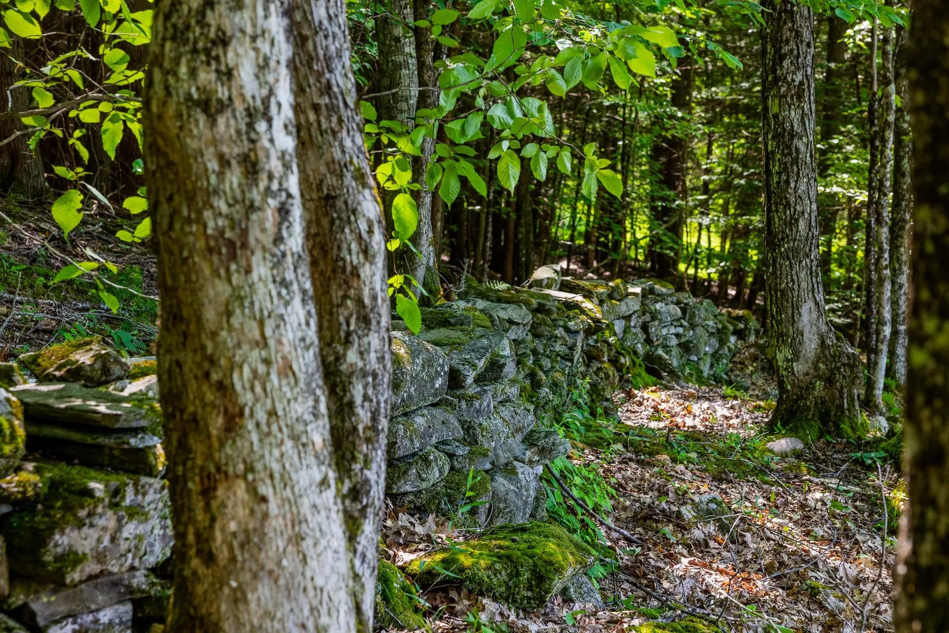 355 Kerwin Hill Road Norwich VT 05055
