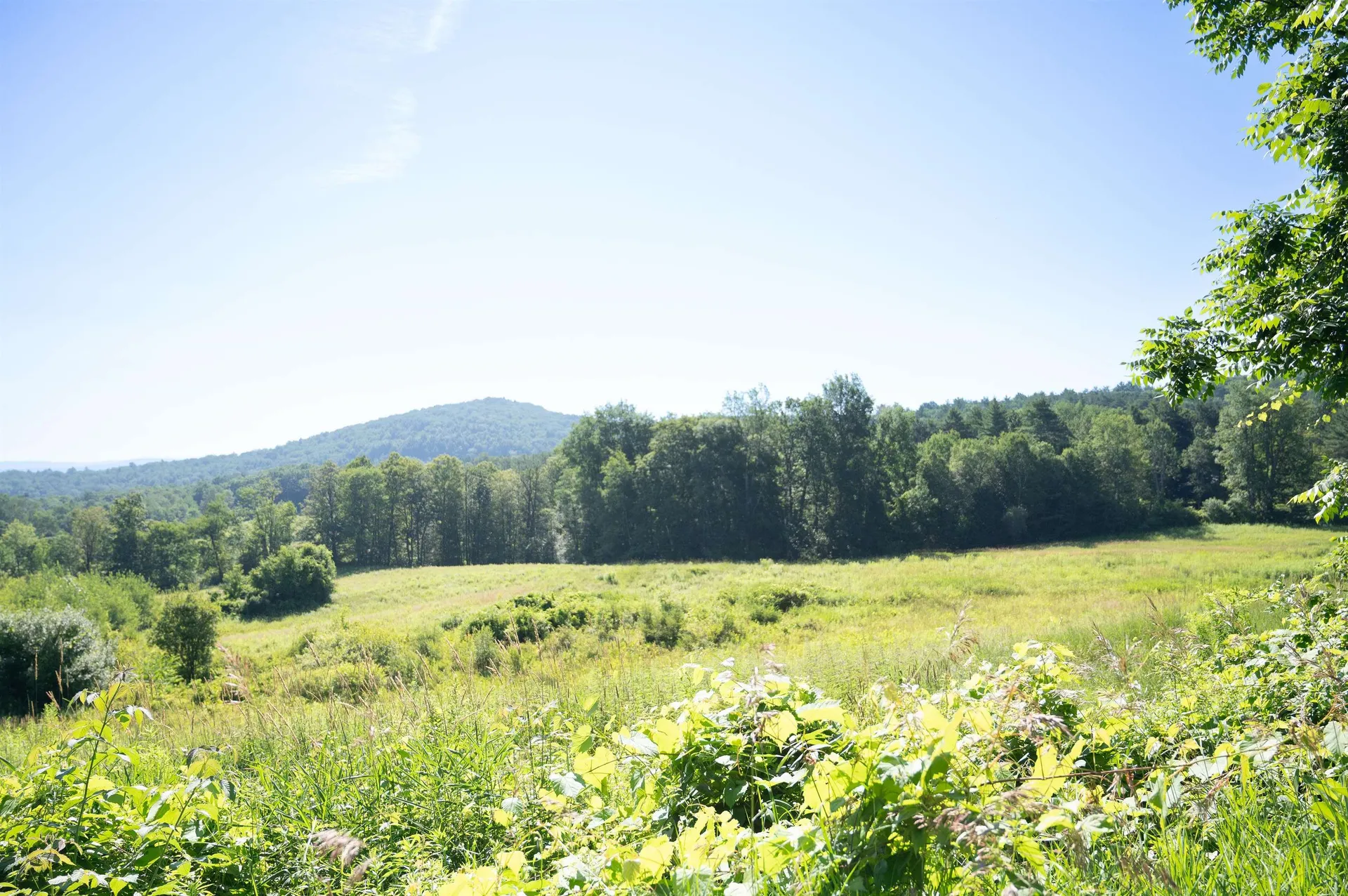 165 Dutton Farm Road Springfield VT 05156