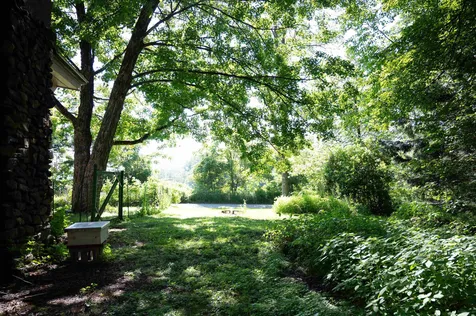 165 Dutton Farm Road Springfield VT 05156