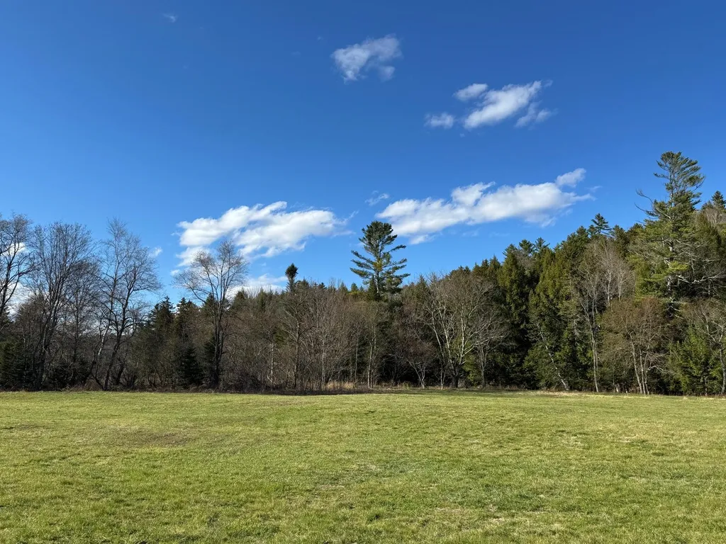 446 Walker Brook Road Danbury NH 03230