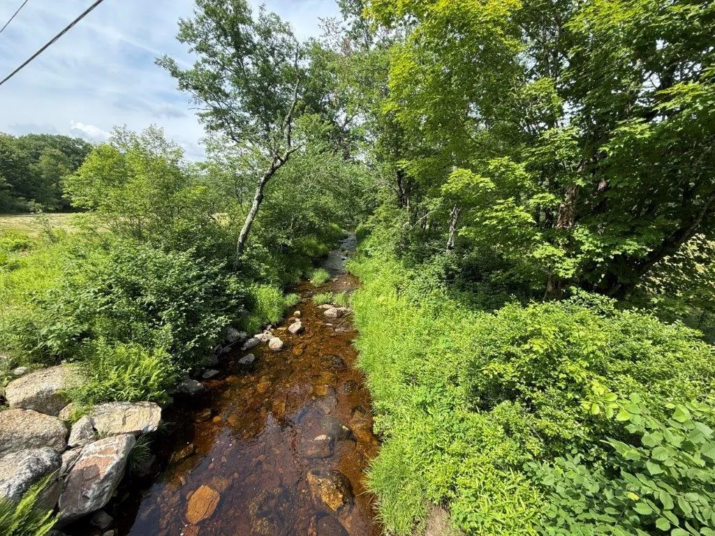 446 Walker Brook Road Danbury NH 03230