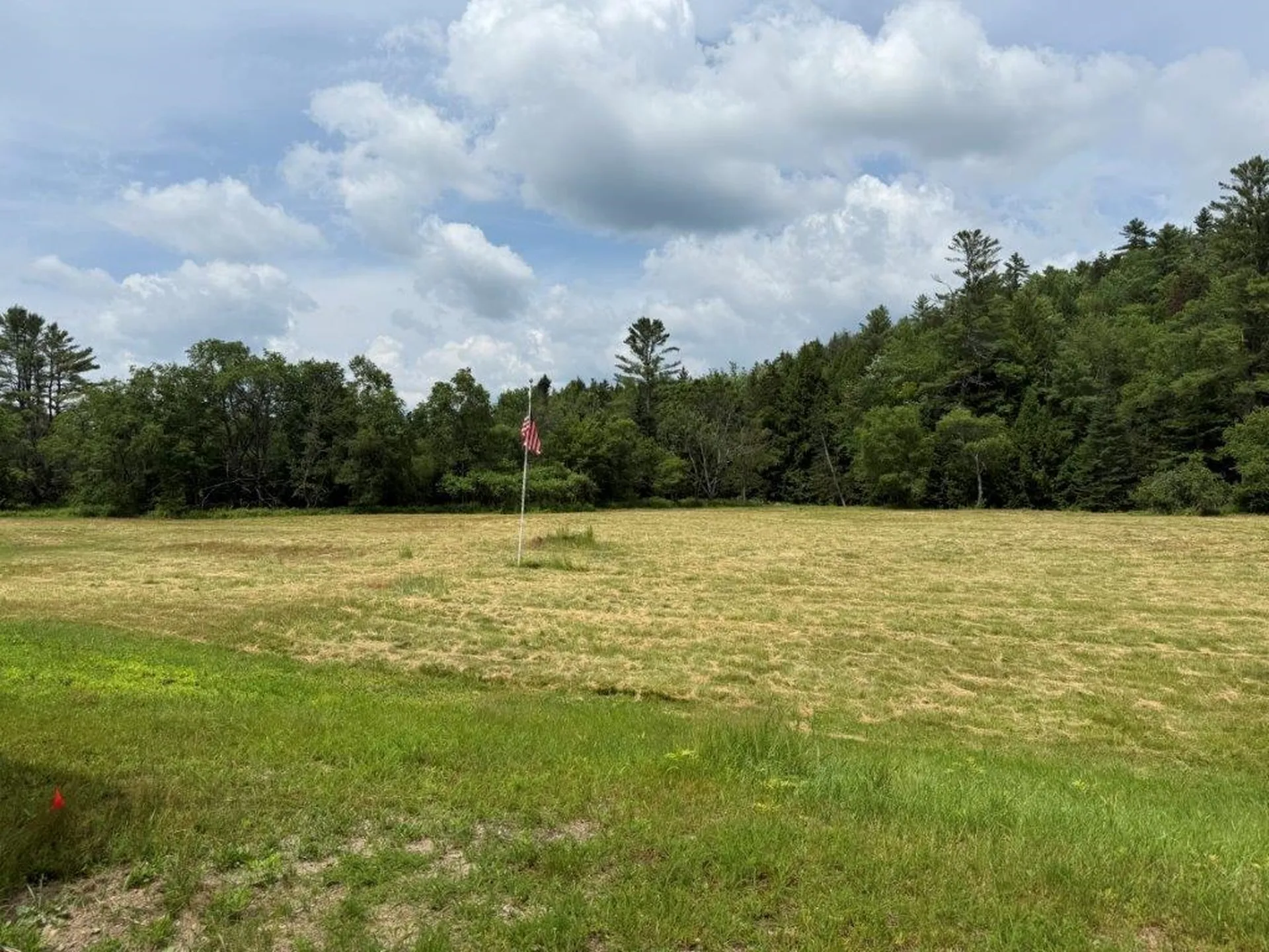 446 Walker Brook Road Danbury NH 03230