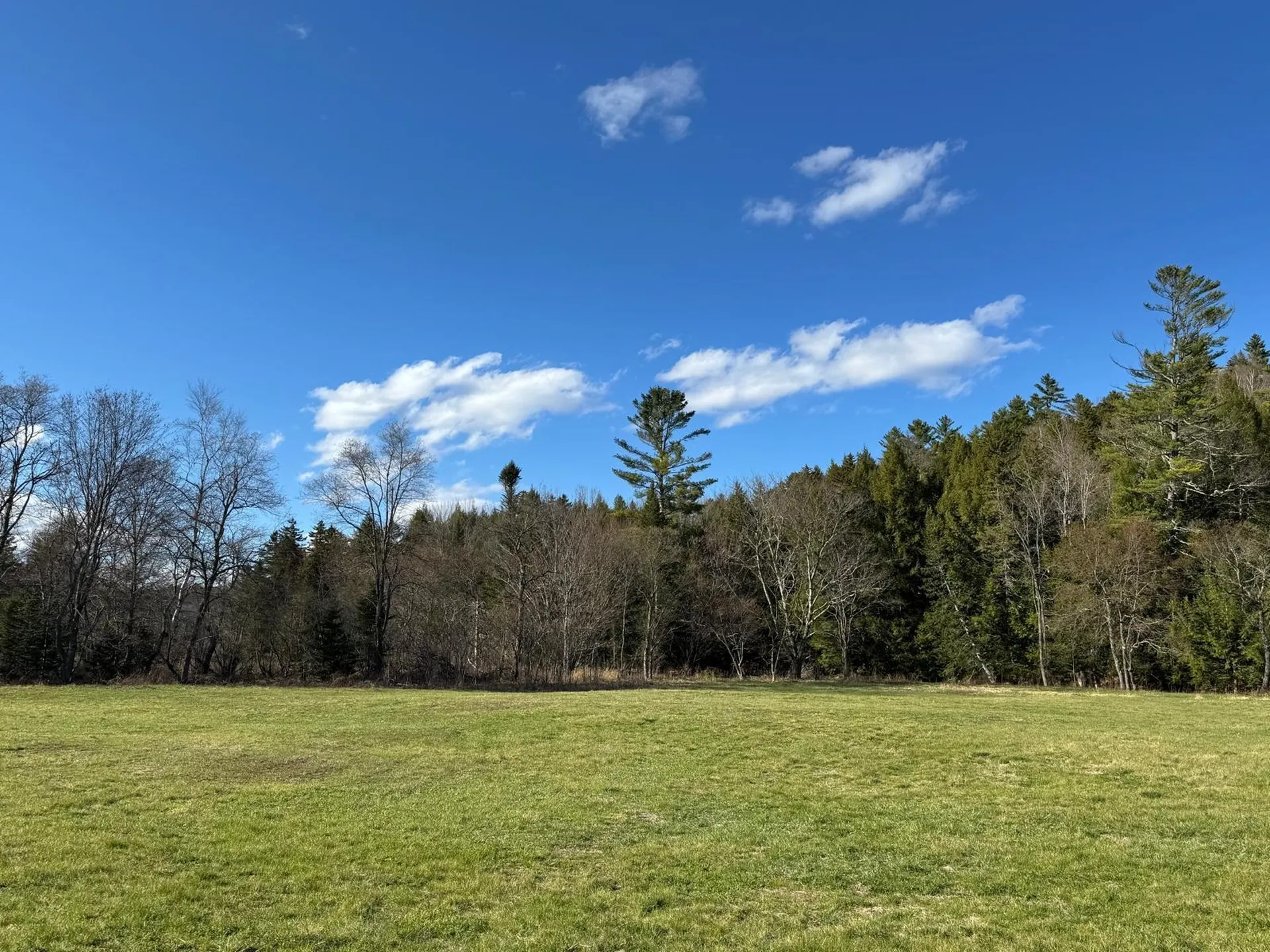 446 Walker Brook Road Danbury NH 03230