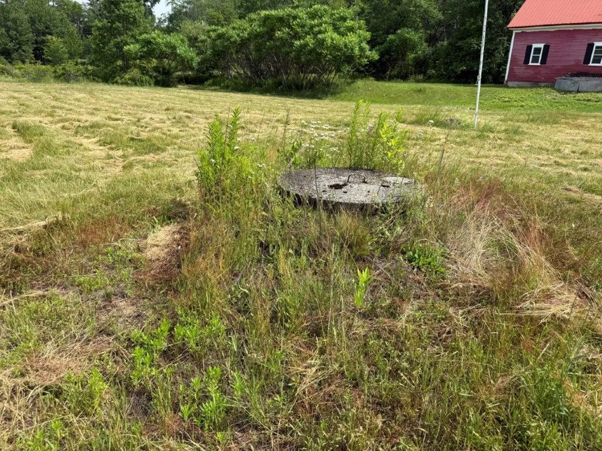 446 Walker Brook Road Danbury NH 03230
