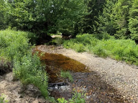 446 Walker Brook Road Danbury NH 03230