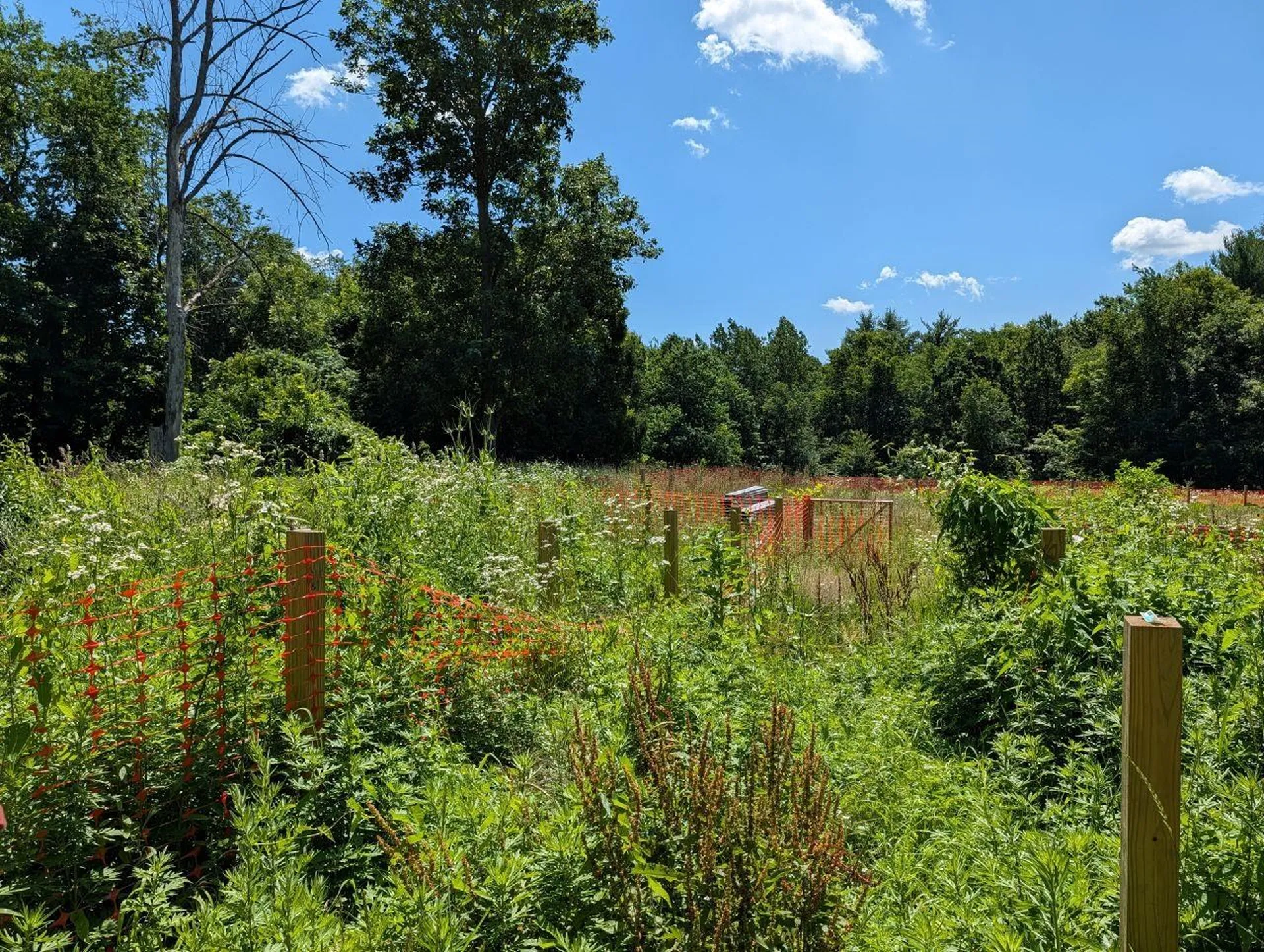 83 Lower Deerfield Road Northwood NH 03261
