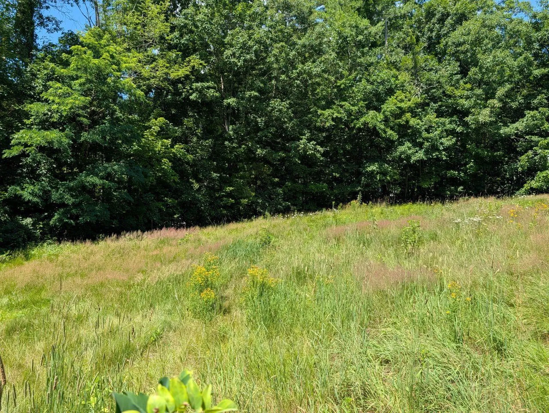 83 Lower Deerfield Road Northwood NH 03261