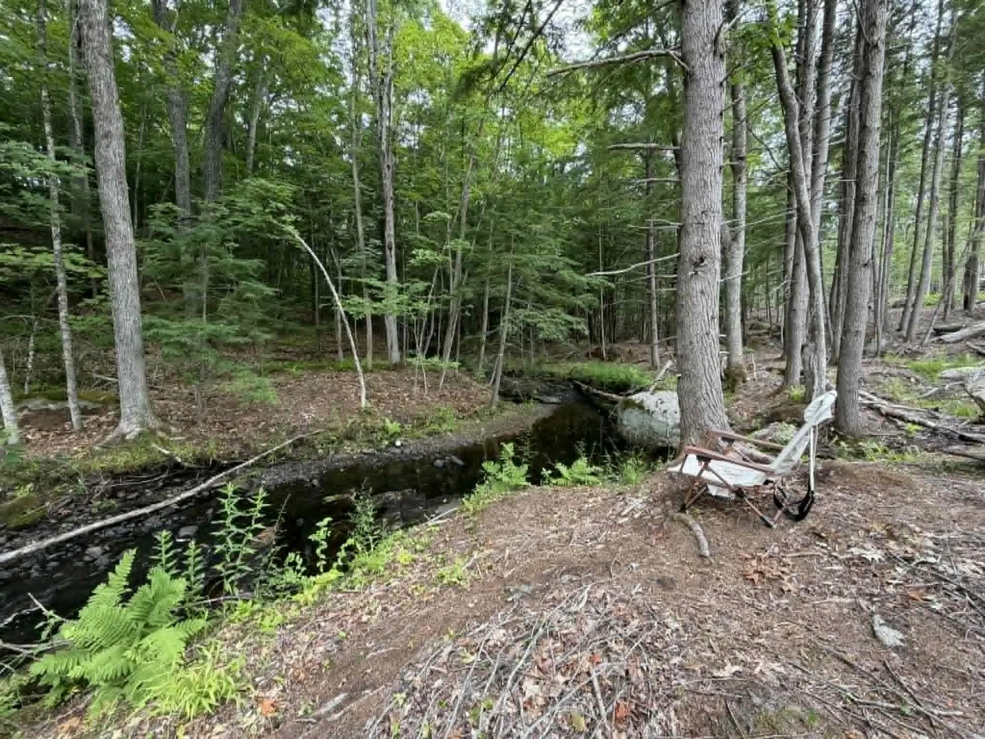 160 Horne Road Belmont NH 03220