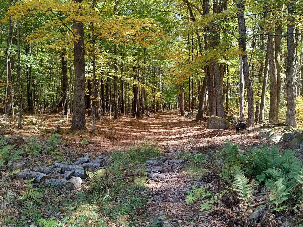21 Trask Mountain Road Wolfeboro NH 03894