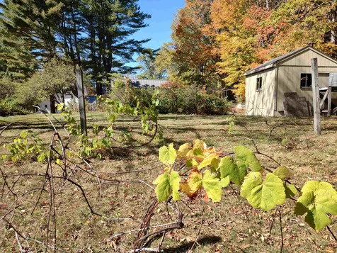 21 Trask Mountain Road Wolfeboro NH 03894