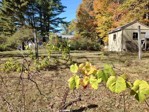 21 Trask Mountain Road Wolfeboro NH 03894
