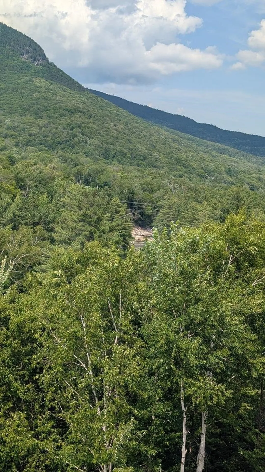 90 Loon Mountain Road Lincoln NH 03251