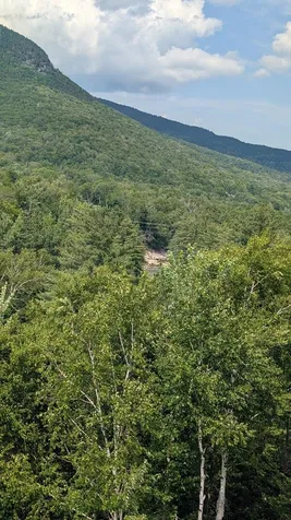 90 Loon Mountain Road Lincoln NH 03251