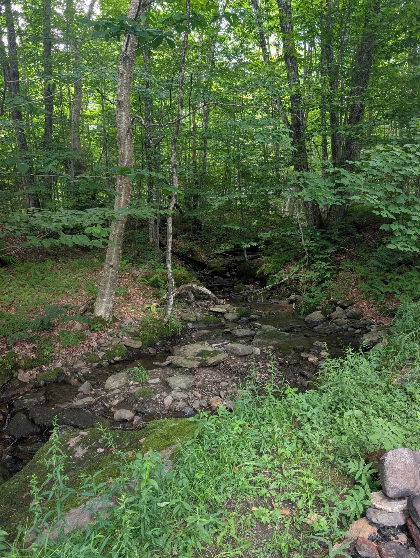 3076 Vermont Route 109 Belvidere VT 05492