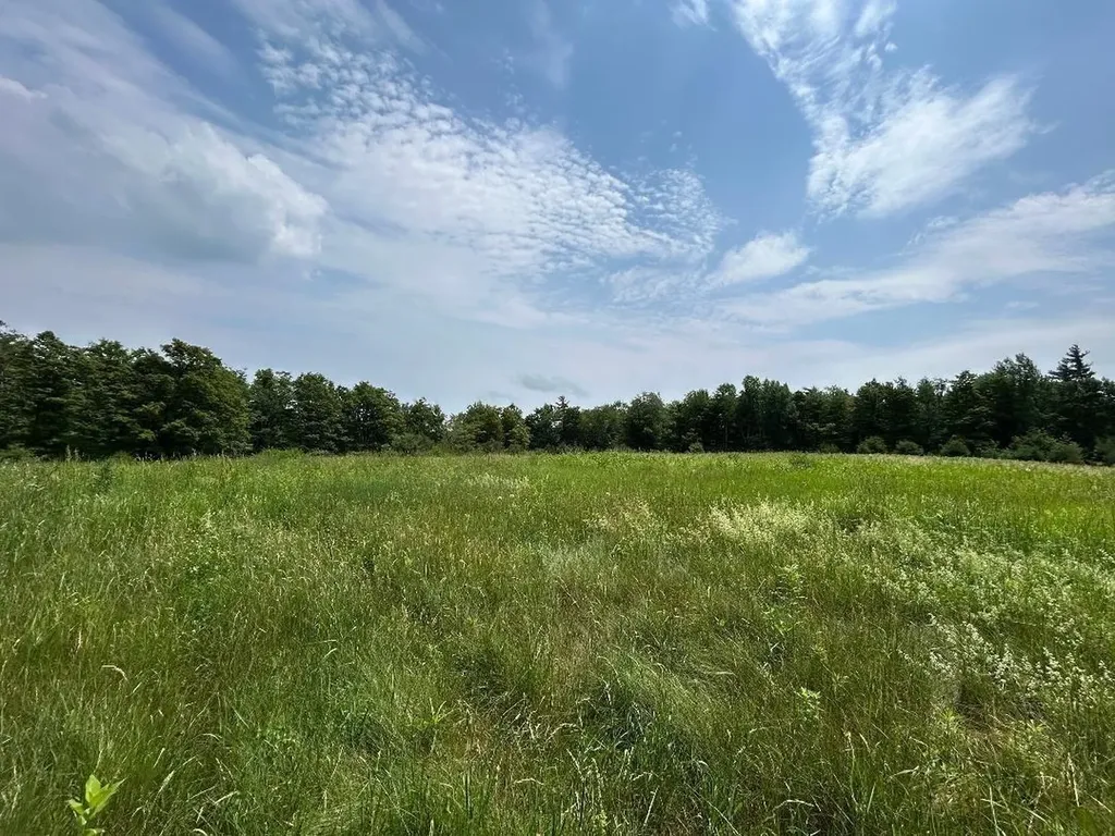 6036 Jacksonville Stage Road Halifax VT 05358