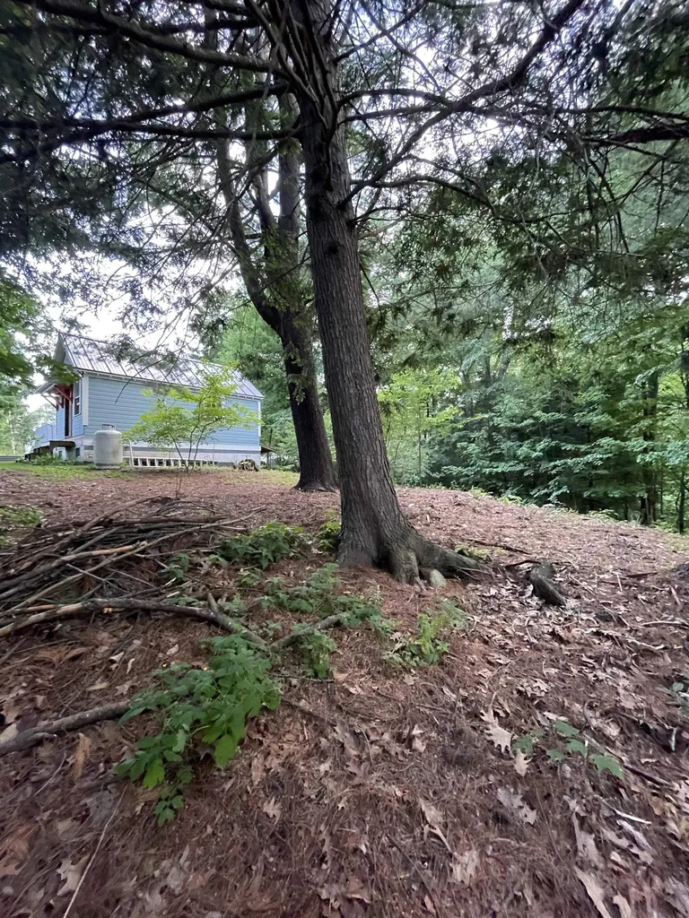 117 * Fuller Drive Brattleboro VT 05301