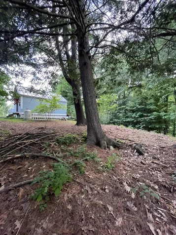 117 * Fuller Drive Brattleboro VT 05301