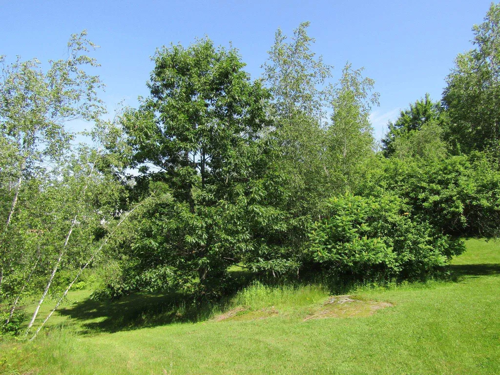 331 Gilman, Lot 2 Road Sheldon VT 05483