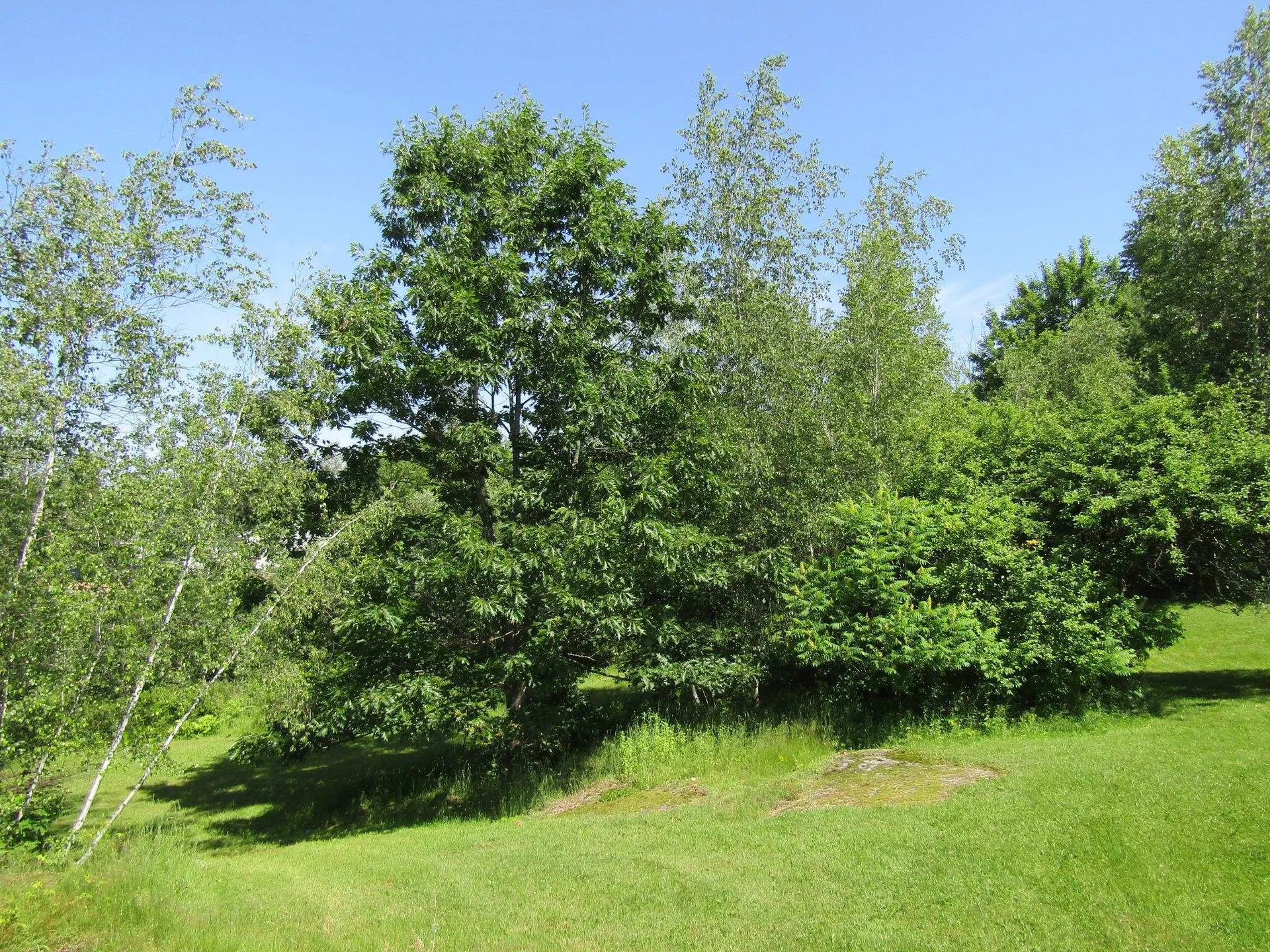 331 Gilman, Lot 2 Road Sheldon VT 05483