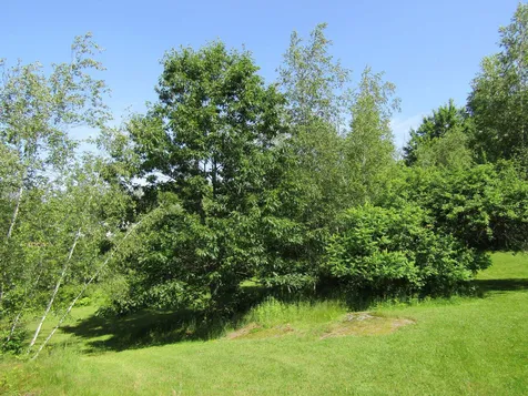 331 Gilman, Lot 2 Road Sheldon VT 05483