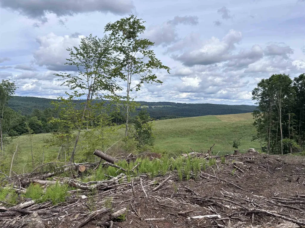0 Davis Acres Road Brookfield VT 05060