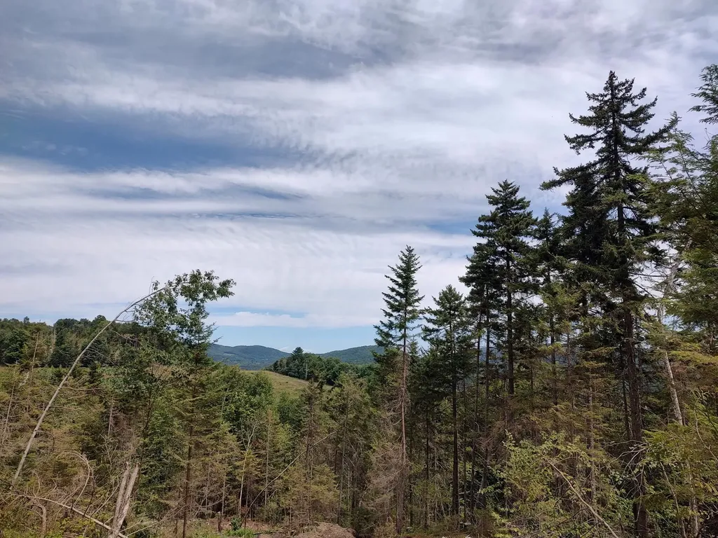 0 Davis Acres Road Brookfield VT 05060