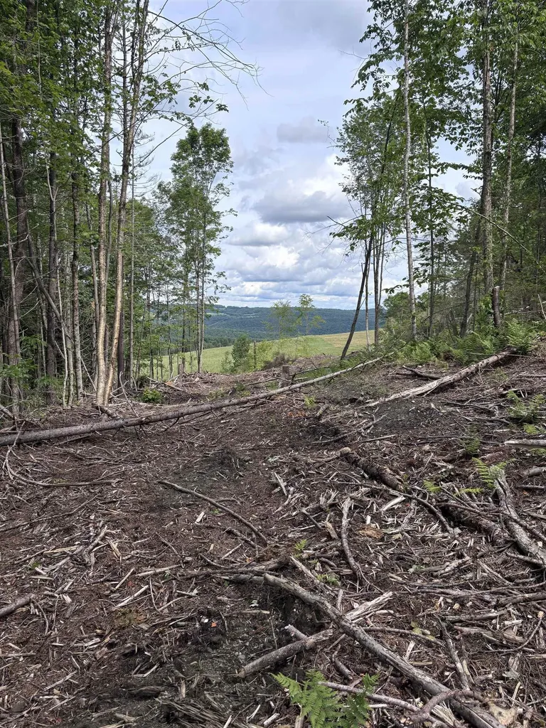0 Davis Acres Road Brookfield VT 05060