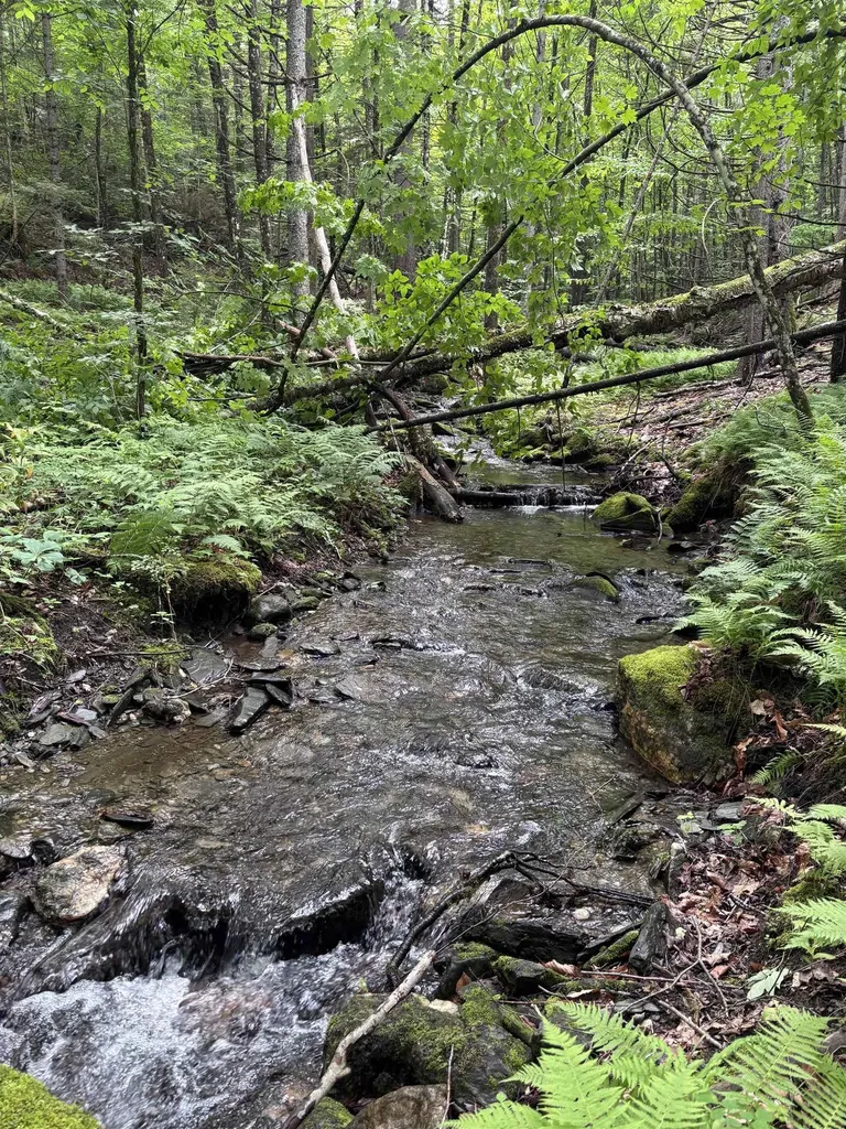0 Davis Acres Road Brookfield VT 05060