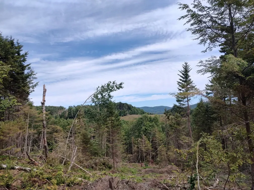 0 Davis Acres Road Brookfield VT 05060