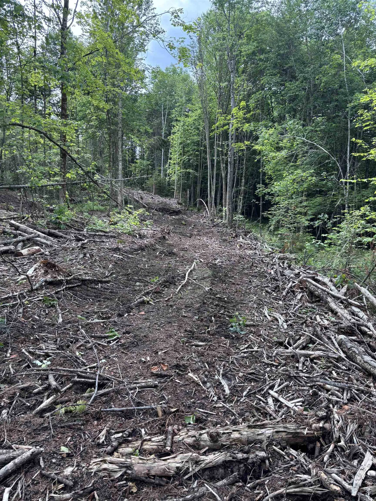 0 Davis Acres Road Brookfield VT 05060