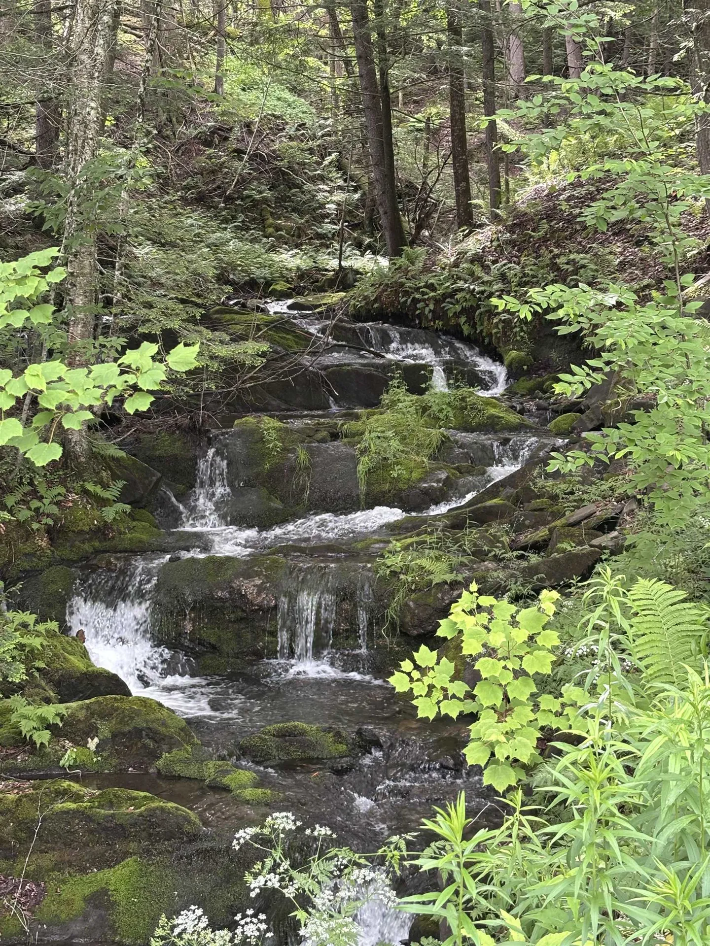 0 Davis Acres Road Brookfield VT 05060