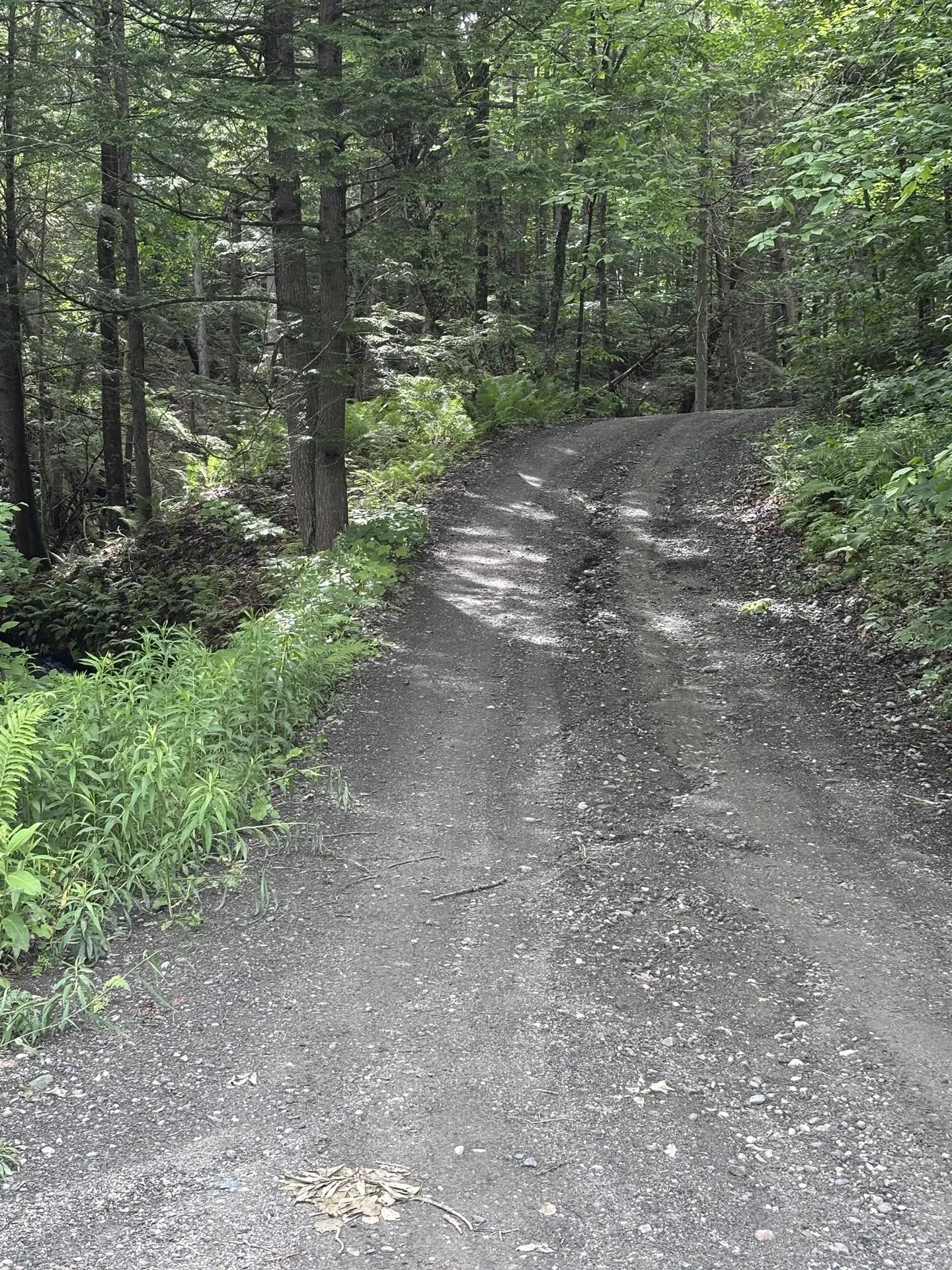 0 Davis Acres Road Brookfield VT 05060