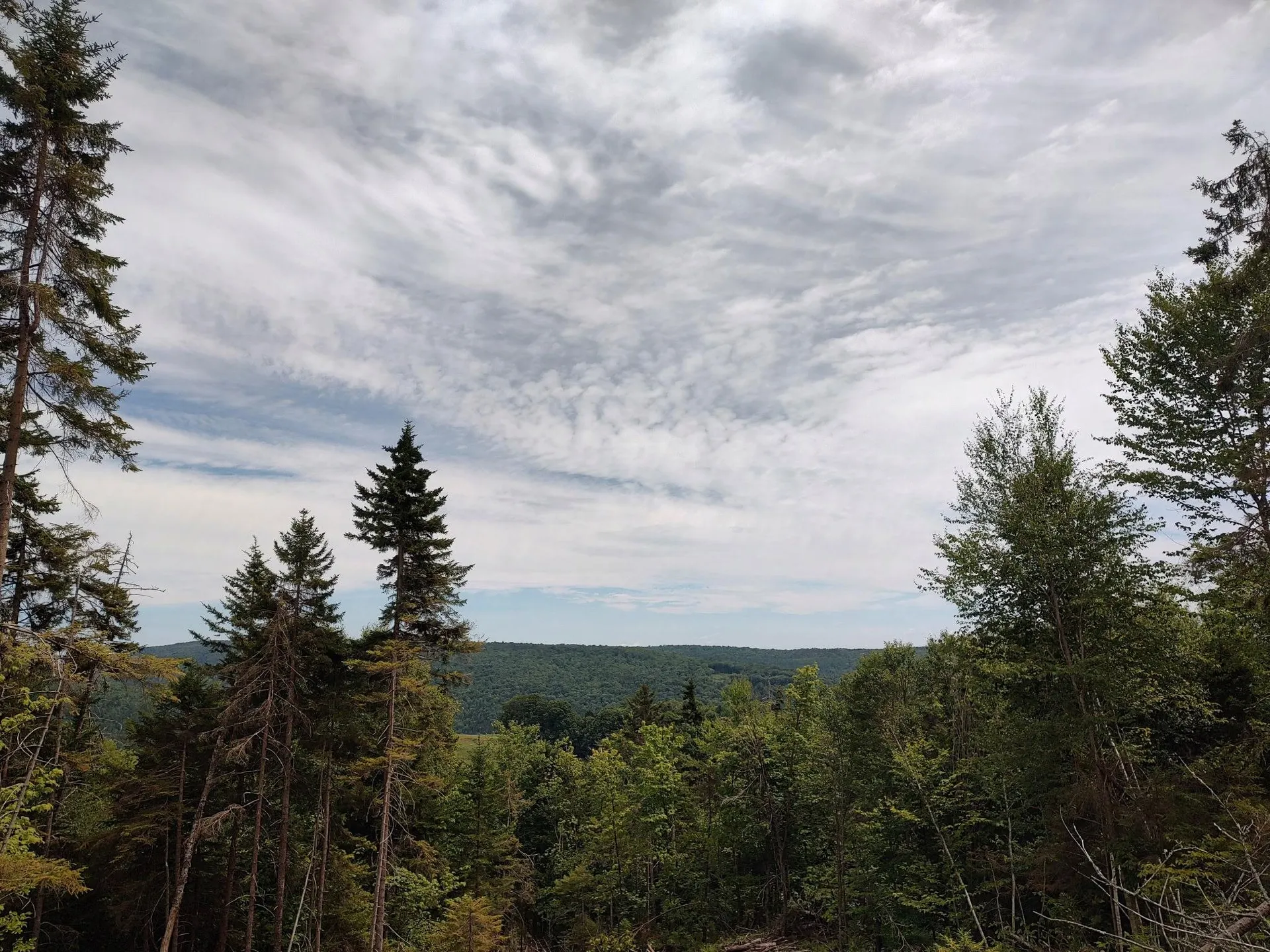 0 Davis Acres Road Brookfield VT 05060