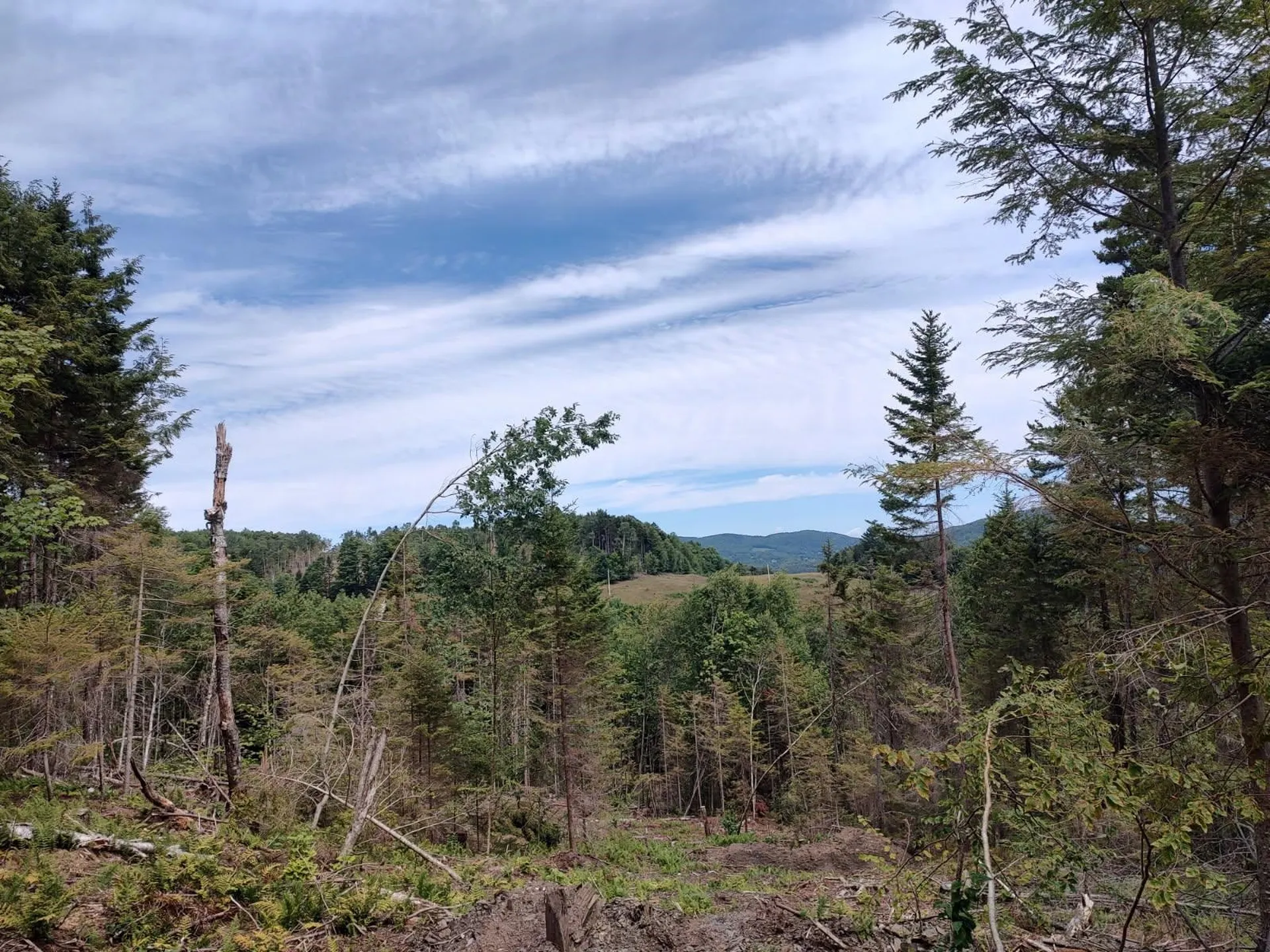 0 Davis Acres Road Brookfield VT 05060