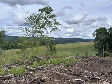 0 Davis Acres Road Brookfield VT 05060