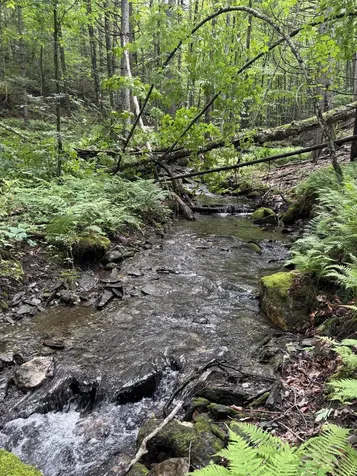 0 Davis Acres Road Brookfield VT 05060