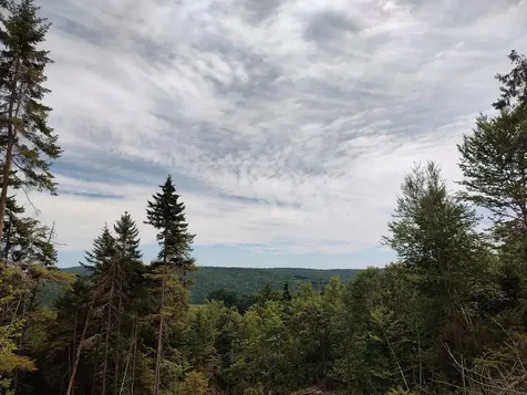 0 Davis Acres Road Brookfield VT 05060