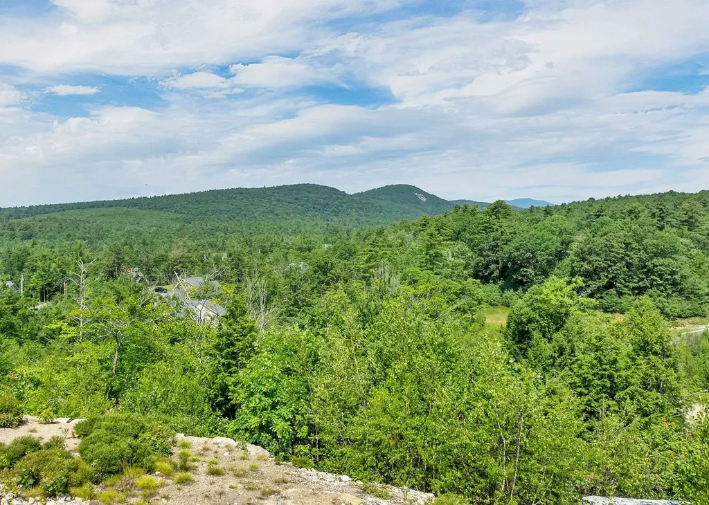 Lot 5 Village Corner Road Wolfeboro NH 03894