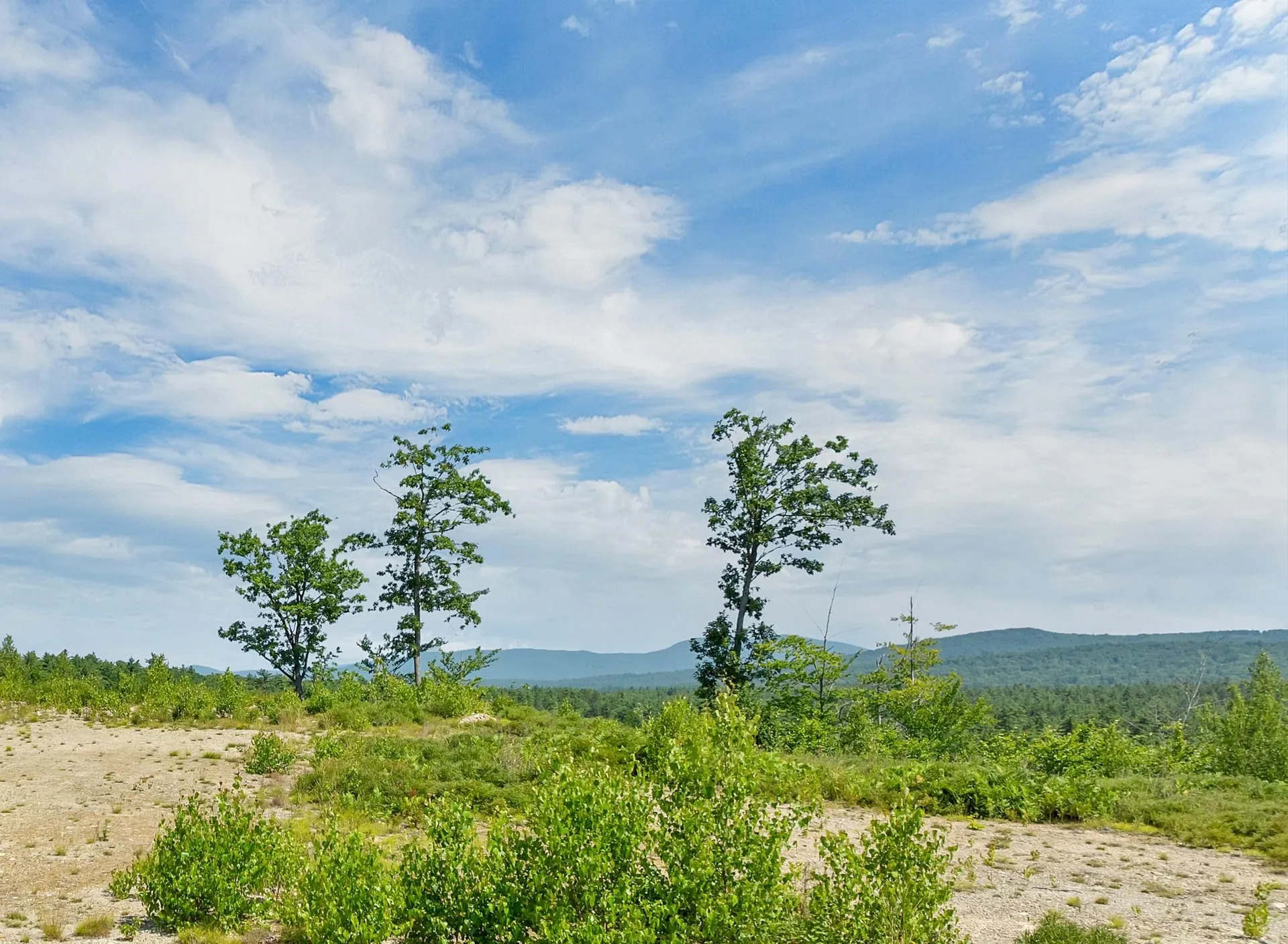 Lot 5 Village Corner Road Wolfeboro NH 03894
