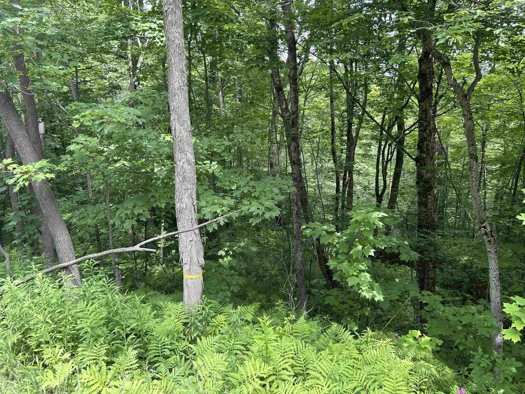 0 Route 30 Winhall VT 05340
