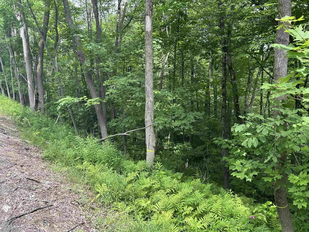 0 Route 30 Winhall VT 05340